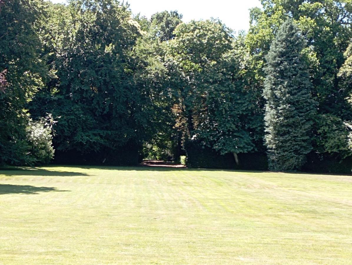 Chateau Du Bois-Riou Quévert Buitenkant foto